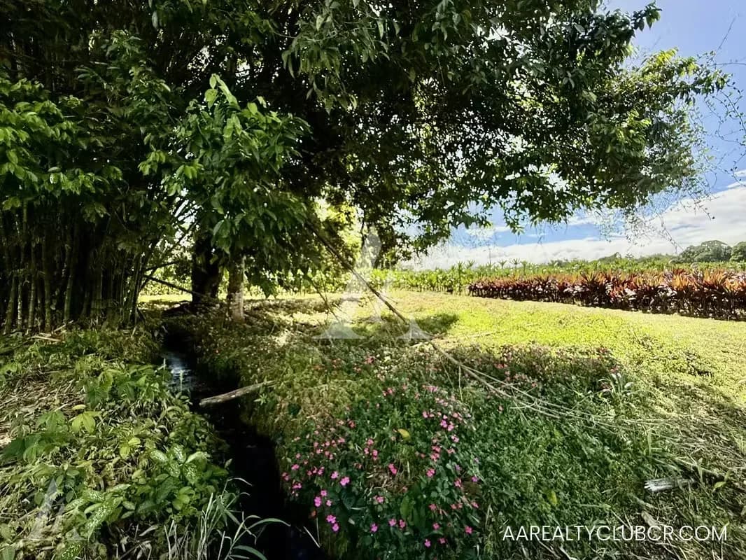 FINCA EN GUÁPILES . USO DE SUELO