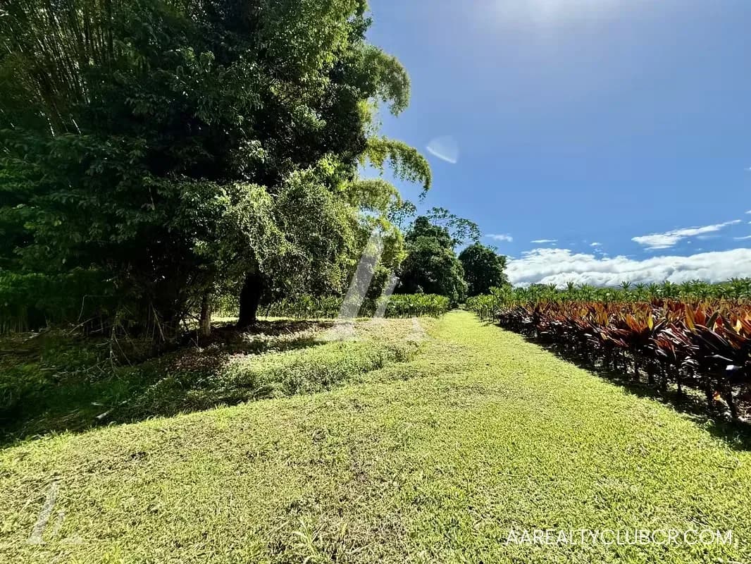 FINCA EN GUÁPILES . USO DE SUELO 3