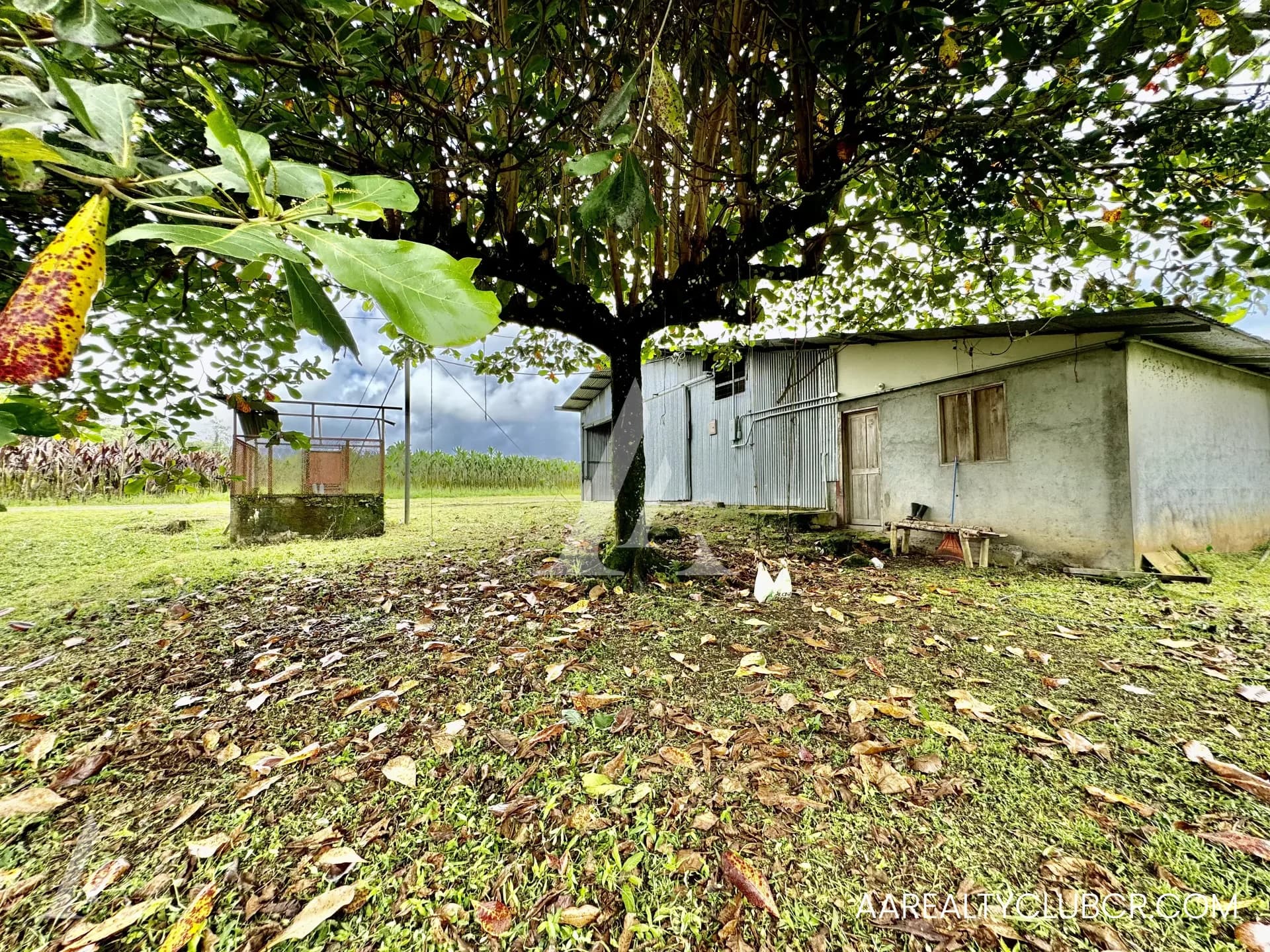 OPORTUNIDAD IMPERDIBLE | FINCA EN GUÁPILES | USO DE SUELO MIXTO