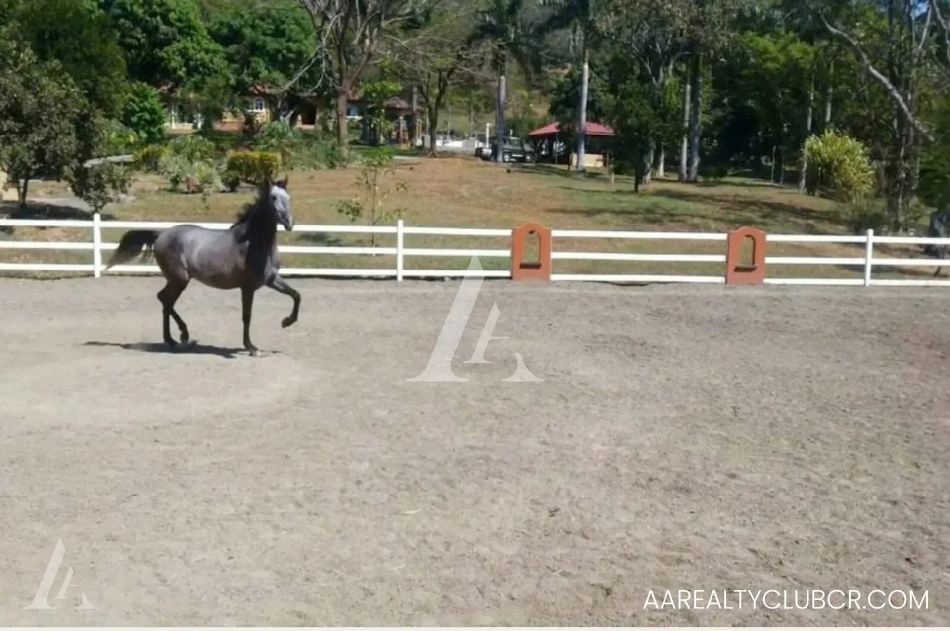 La Garita - Finca Magnifique - Paso Fino - Maison de Luxe