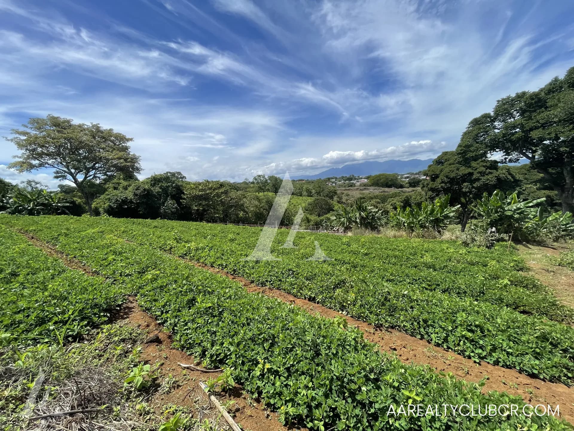 Finca Tambor de Alajuela - Precio Reducido 3