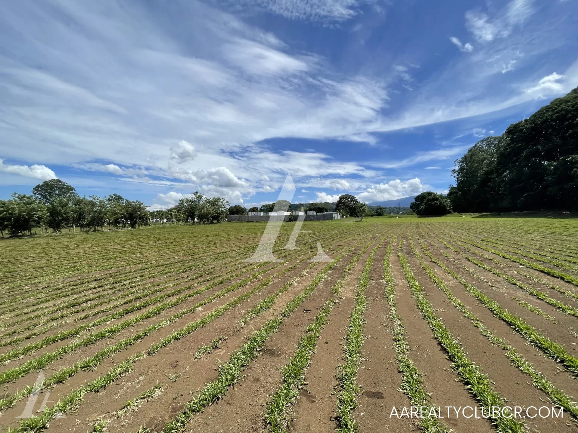 Finca Tambor de Alajuela - Precio Reducido