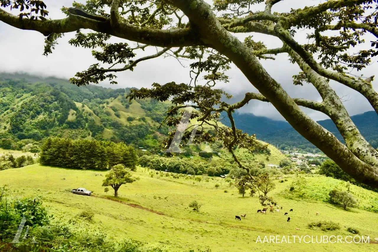 Quintas Exclusivas Copey de Dota - Vistas espectaculares!